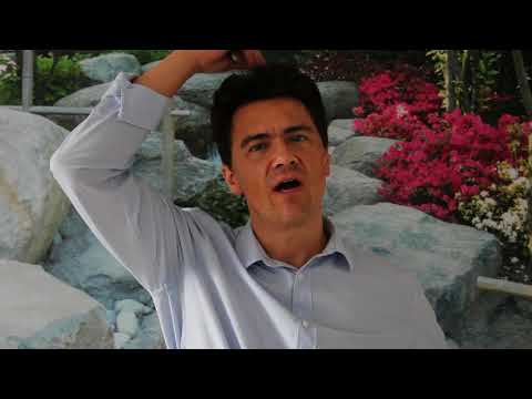 Eine neue Liebe finden mit EFT Klopfakupressur